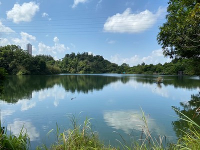 工務局在進行公共建設時也盡量與大自然共存，未來更將打開汐止淺山的生態寶庫，2025年把汐止白匏湖祕境打造成生態園區，讓民眾近距離感受自然復育的力量與都會淺山豐富生態與湖光山色。