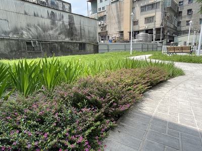 蘆洲區民族路70轉角的兒七公園融入可食地景，未來可結合社區作為推廣農藝環境教育的場域。