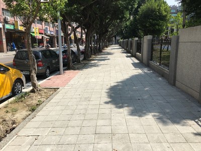 三重碧華國小通學廊道改善後，將原人行道上的路樹整併遷移至設施帶
