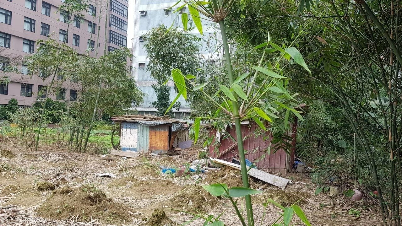 汐止建成路公有地長期被佔用搭建鐵皮屋並圍地耕作，今年4月依法強制取締回收。圖／新北市工務局提供